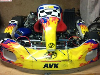 Vendo o camvio kart seven 175 2marchas.