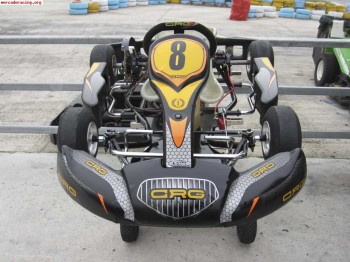 Crg puma 85 alevin-cadete