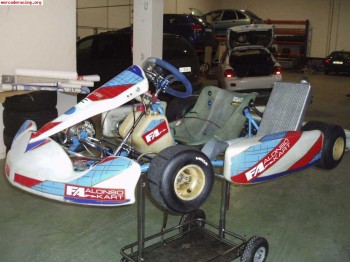 Fa (fernando alonso) kz2 6v 2009