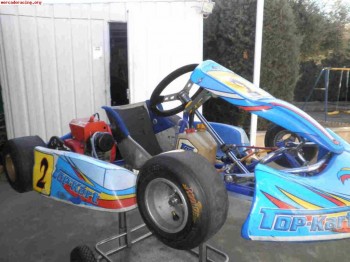 Vendo top kart alevin motor comer 80