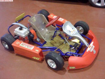 Baby kart infantil