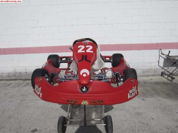 Wildkart kz2 6v ¡¡muy economico!!