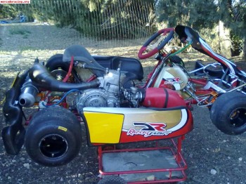 Vendo chasis kz danilo rossi (crg)