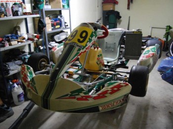 Vendo tonykart racer evx 2009   rok 125cc