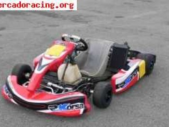 Kart crg road rebel kz2 oportunidad!!