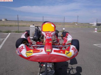 Birel r31 rotax max