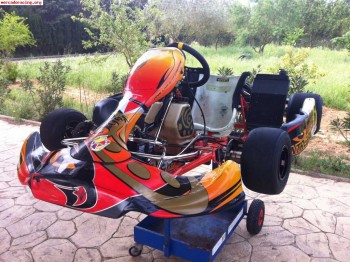Kart intrepid sirius  x30 del 2009 