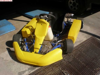 Se vende kart motor arisco