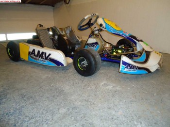 Kart 125 chasis amv motor rotax autom. 1.700€