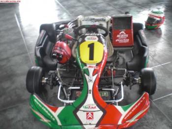 Tibi kart kz2