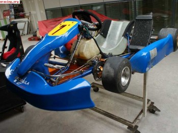 Vendo kart 125 marchas ( economico mucho recambio !) 