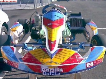 Venta kart f.a. motor iame parila 125 cc