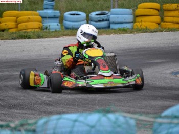 Se vende kart 125 del 2010  1800euros