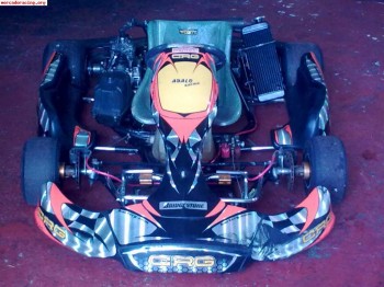 Kart crg rotax