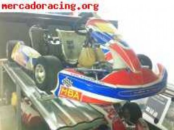 Vendo kart mba y birel