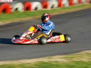 Urge!!! birel 09 con rotax max fr. se escuchan ofertas