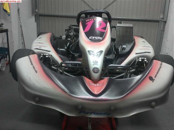 Vendi o cambio dd2 rm1 rotax