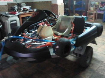 Vendo kart intrepid - explorer