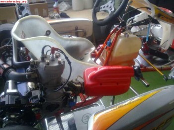Kart inteprid nuevo 1200€