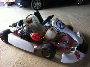 Vendo kart wild año 2008 estado impecable (motor tm k9b) rec