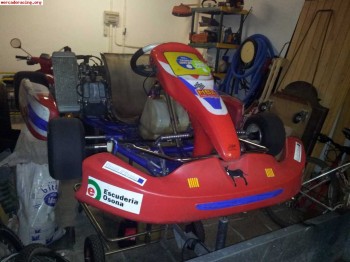 Vendo kart rotax 125 2t