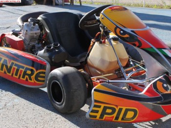 Vendo kart intrepid con motor vortex rock con frenos delante