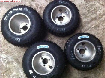 Se venden dos juegos de llantas de agua y un carro portakart