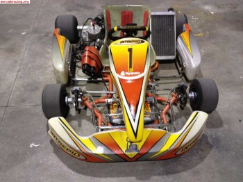 Se vende kart intrepid 125 6 velocidades