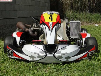 Kart ea racing 250cc