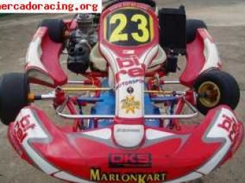 Kart birel 125 refrigerado por agua del 2009