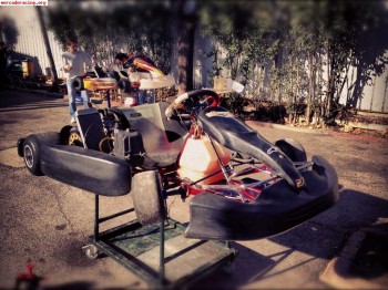 Vendo pcr con motor rotax max
