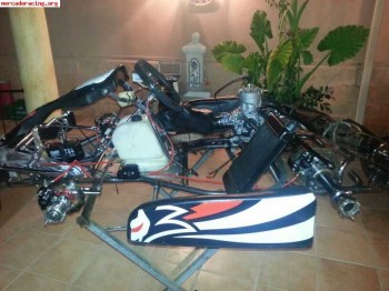 Vendo kart 125 2 tiempos