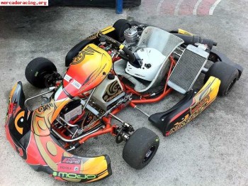 Vendo chasis intrepid cruiser v frm