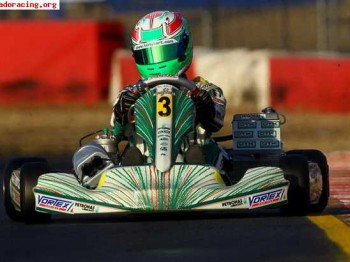 Tony kart vortex kf2 2012
