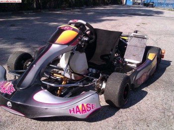 Kart haase edox rotax dd2 de la final mundial rotax