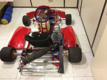Birel r32 vortex 100cc