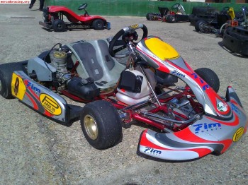 Vendo kart parolin 125 automatico
