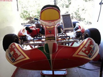 Vendo birel 2011 con motor tm de marchas kz2