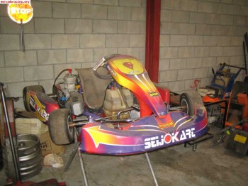 Vendo seijo kart 125 automatico
