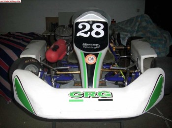 Se vende kart crg de 100 cc. 700 €