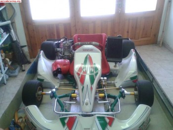 Vento tony kart con motor kf1