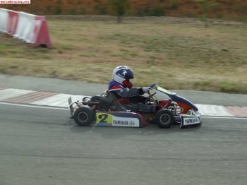 Top kart  yamaha kt100