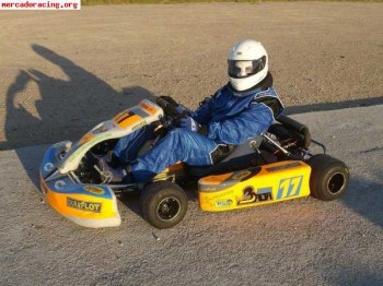 Rotax max 125cc - chasis parolin   remolque