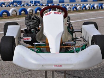 Se vende tony kart vortex de 100cc