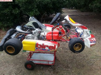 Vendo birel ry30 con motor tm 2011 