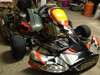 Se vende kart crg road rebel!!