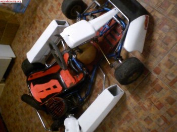 Kart arisco 