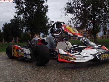 Kart crg road rebel tm kz10