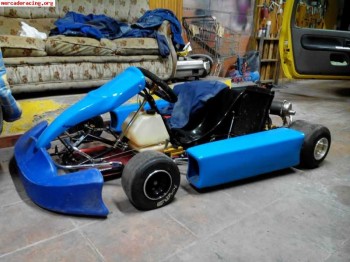Kart 100 tiro directo