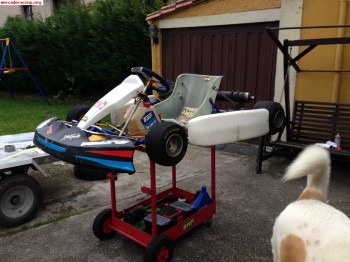 Se vende kart 100cc